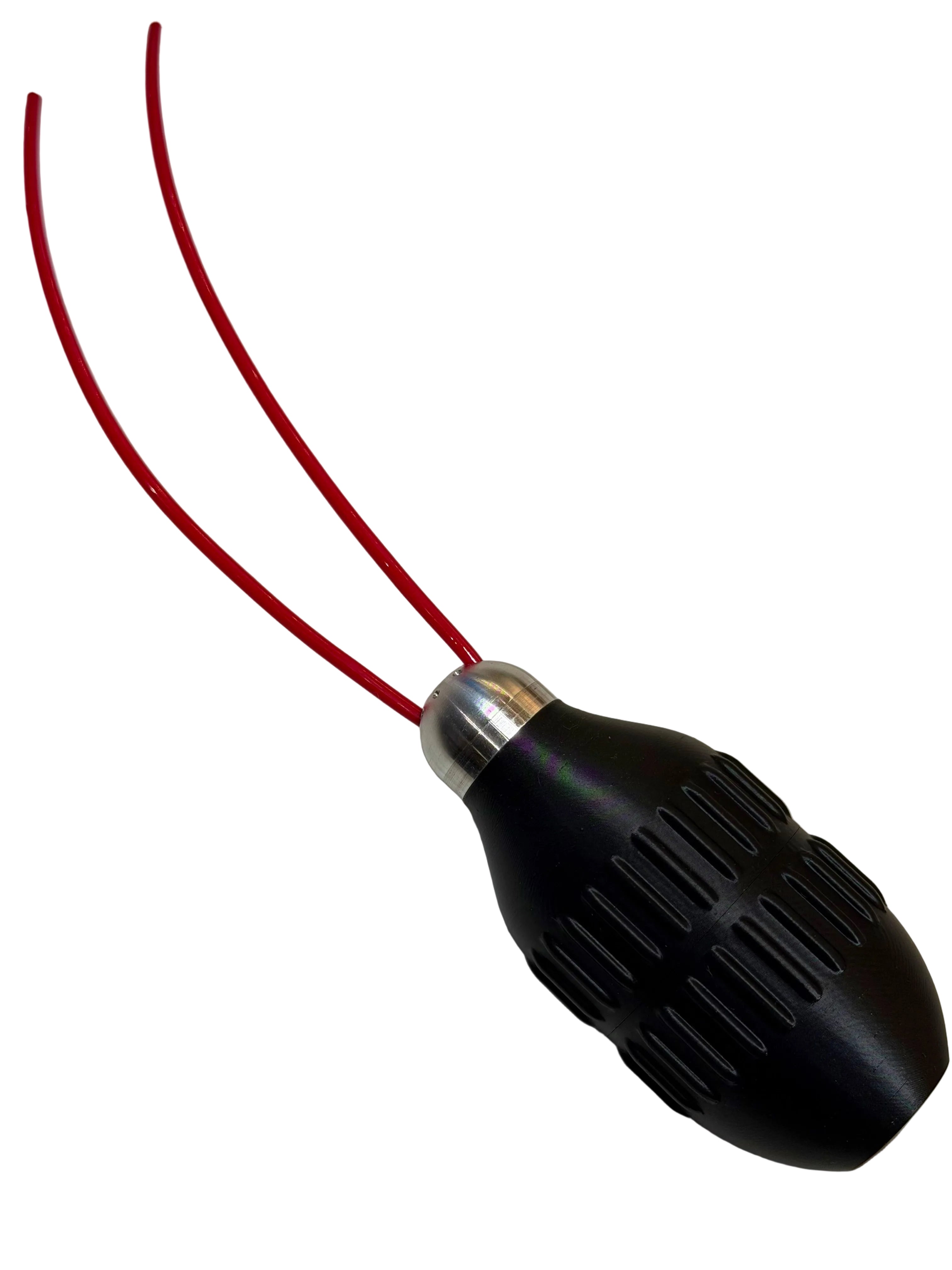 WhipCam (Head Only)